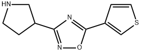 3-(pyrrolidin-3-yl)-5-(thiophen-3-yl)-1,2,4-oxadiazole Struktur