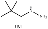 (2,2-dimethylpropyl)hydrazine dihydrochloride Struktur
