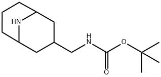 Carbamic acid, N-(9-azabicyclo[3.3.1]non-3-ylmethyl)-, 1,1-dimethylethyl ester, 1210273-21-4, 结构式
