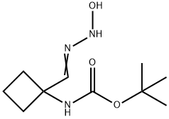 1251924-20-5 Structure