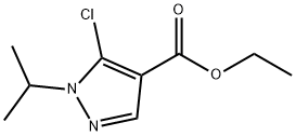 5-Chloro-1-isopropyl-1H-pyrazole-4-carboxylic acid ethyl ester|1G;5G