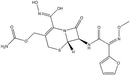 Ceftizoxime Structure