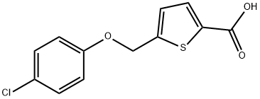 5-((4-氯苯氧基)甲基)噻吩-2-羧酸 结构式