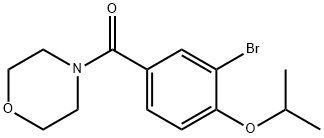 4-(3-bromo-4-isopropoxybenzoyl)morpholine Struktur