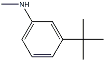 3-tert-butyl-N-methylaniline,1233505-67-3,结构式