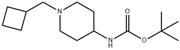 tert-Butyl 1-(cyclobutylmethyl)piperidin-4-ylcarbamate Struktur