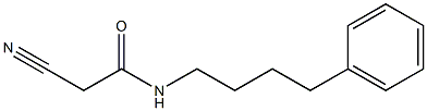 2-氰基-N-(4-苯基丁基)乙酰胺- 结构式