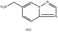 [1,2,4]triazolo[1,5-a]pyridin-6-ylmethanamine dihydrochloride Struktur