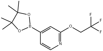 4-(4,4,5,5-TETRAMETHYL-1,3,2-DIOXABOROLAN-2-YL)-2-(2,2,2-TRIFLUOROETHOXY)PYRIDINE 结构式