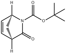 (1R,4S)-3-氧代-2-氮杂双环[2.2.1]庚-5-烯-2-羧酸叔丁酯,200002-41-1,结构式