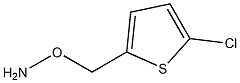 O-((5-氯噻吩-2-基)甲基)羟胺,66233-91-8,结构式