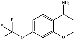 7-(TRIFLUOROMETHOXY)CHROMANE-4-YLAMINE Structure
