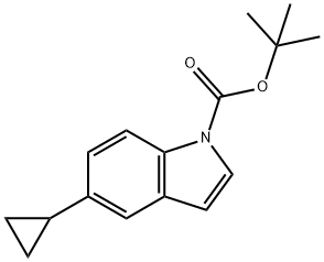 tert-butyl 5-cyclopropyl-1H-indole-1-carboxylate,1021432-63-2,结构式