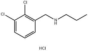 [(2,3-dichlorophenyl)methyl](propyl)amine hydrochloride Struktur