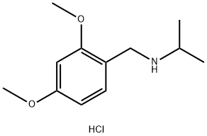 [(2,4-dimethoxyphenyl)methyl](propan-2-yl)amine hydrochloride Struktur