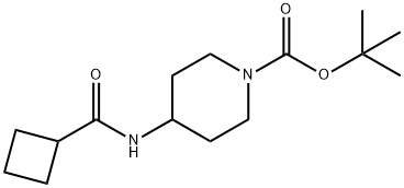 tert-Butyl 4-(cyclobutanecarbonylamino)piperidine-1-carboxylate Struktur