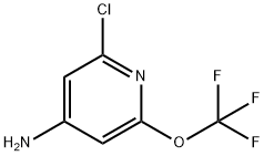 2-氯-6-(三氟甲氧基)吡啶-4-胺 结构式