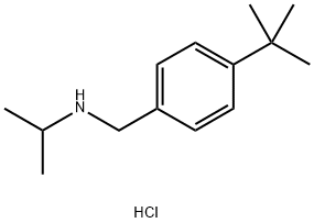 [(4-tert-butylphenyl)methyl](propan-2-yl)amine hydrochloride Struktur