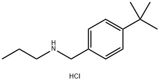[(4-tert-butylphenyl)methyl](propyl)amine hydrochloride Struktur