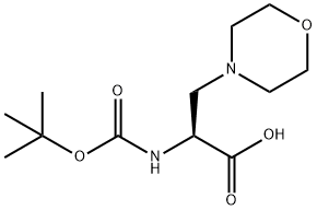 (S)-2-((TERT-BUTOXYCARBONYL)AMINO)-3-MORPHOLINOPROPANOICACID, 1251904-26-3, 结构式