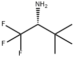 (R)-1,1,1-三氟-3,3-二甲基丁烷-2-胺, 1261298-42-3, 结构式