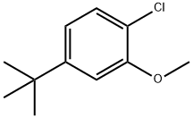 1369950-17-3 4-tert-Butyl-1-chloro-2-methoxy-benzene