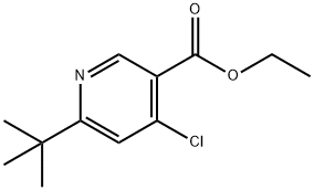 ETHYL 6-(TERT-BUTYL)-4-CHLORONICOTINATE 结构式