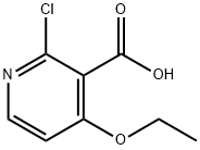 2-氯-4-乙氧基烟酸, 1628845-26-0, 结构式
