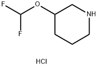 3-(二氟甲氧基)哌啶盐酸, 1638772-02-7, 结构式