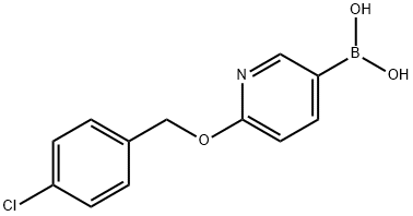 (6-((4-chlorobenzyl)oxy)pyridin-3-yl)boronic acid,1701421-10-4,结构式