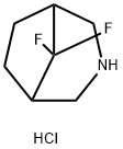 8,8-Difluoro-3-azabicyclo[3.2.1]octane hydrochloride Struktur