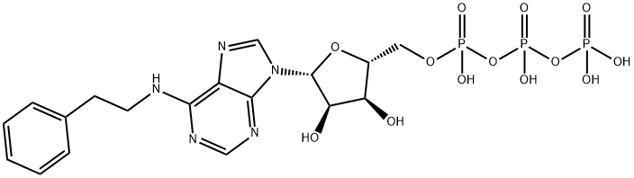 181705-62-4 Adenosine 5'-(tetrahydrogen triphosphate), N-(2-phenylethyl)-