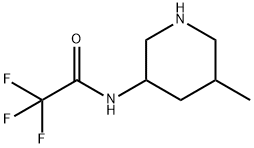 2,2,2-trifluoro-N-(5-methylpiperidin-3-yl)acetamide Structure