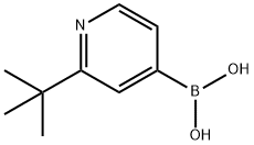 (2-(tert-butyl)pyridin-4-yl)boronic acid,2000187-68-6,结构式