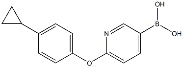 (6-(4-cyclopropylphenoxy)pyridin-3-yl)boronic acid Struktur