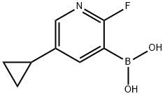 2121511-59-7 5-环丙基-2-氟吡啶-3-硼酸