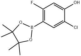 5-Chloro-2-fluoro-4-hydroxyphenylboronic acid pinacol ester Struktur