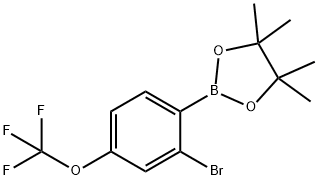2-Bromo-4-(trifluoromethoxy)phenylboronic acid pinacol ester Struktur