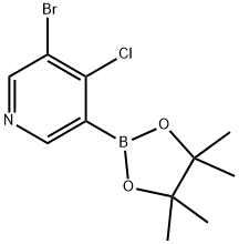 5-Bromo-4-chloropyridine-3-boronic acid pinacol ester Struktur