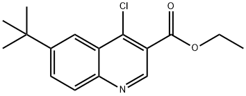 6-(叔丁基)-4-氯喹啉-3-羧酸乙酯, 246168-74-1, 结构式