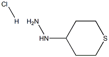 (Tetrahydro-2H-thiopyran-4-yl)hydrazine hydrochloride|
