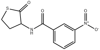 3-nitro-N-(2-oxothiolan-3-yl)benzamide Struktur