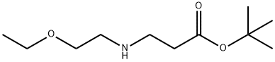 TERT-ブチル3-[(2-エトキシエチル)アミノ]プロパン酸 化学構造式