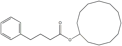 Benzenebutanoic acid, cyclododecyl ester Struktur