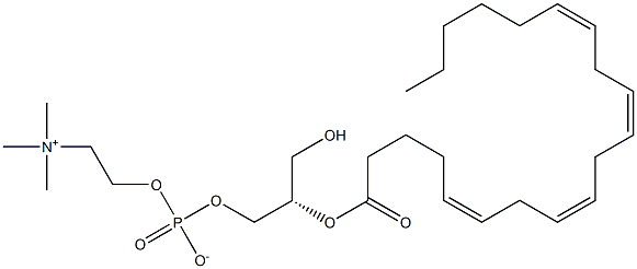 2-花生四烯酰-SN-甘油-3-磷胆碱 结构式