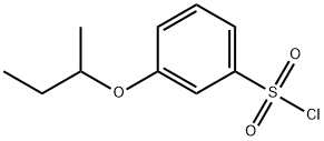 3-(丁-2-基氧基)苯并-1-磺酰氯 结构式
