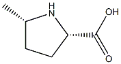 cis-5-methylpyrrolidine-2-carboxylic acid Structure