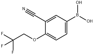 Boronic acid, B-[3-cyano-4-(2,2,2-trifluoroethoxy)phenyl]- 化学構造式