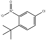 1-tert-Butyl-4-chloro-2-nitro-benzene, 90869-72-0, 结构式