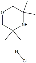 3,3,5,5-tetramethylmorpholine hydrochloride Struktur
